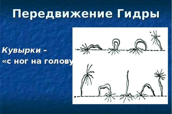 Скачать кракен тор