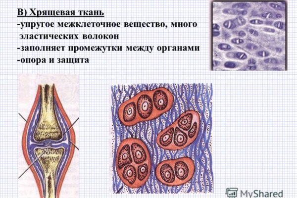 Ссылка кракен даркнет маркет
